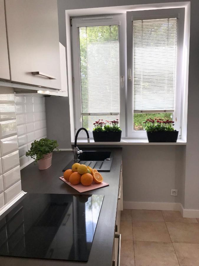 Klimatyczny Apartament Pod Ratuszem -Ul. Slaska 2 琴斯托霍瓦 外观 照片